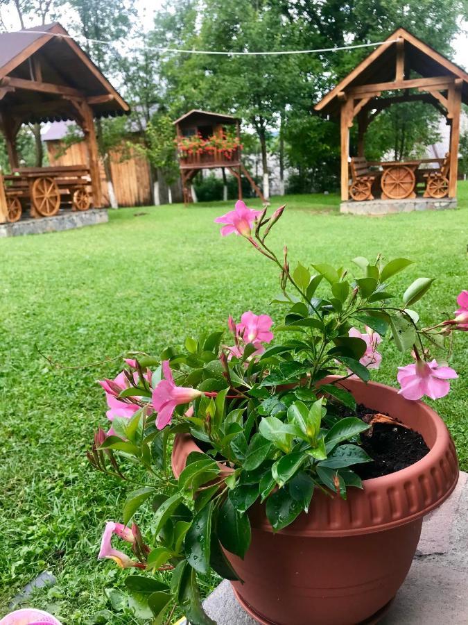 Casa La Bella Vista Otel Moisei Dış mekan fotoğraf